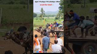 Pralaya Agni vs LakshyaDheera❤️‍🔥bailgada bull hallikarbullcart hallikarbull hallikarbullrace [upl. by Ahseinaj]