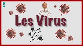 Quest ce quun Virus  Bases virologiques [upl. by Starr880]