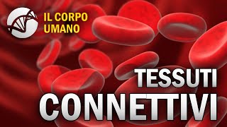 Tessuti Connettivi  Il Corpo Umano  Estratto [upl. by Ztnarf229]