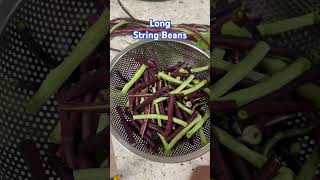 Long String Beans for cooking [upl. by Ferrick]