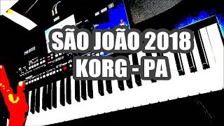 SÃO JOÃO 2018  KORG PA  Laércio Desejo [upl. by Uball]