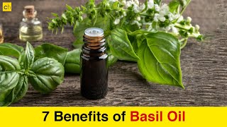 7 Amazing Benefits of Basil Oil that You Need to Know  Credihealth [upl. by Cha]