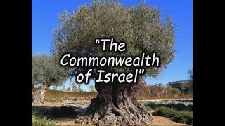 110924  Shabbat Service  quotThe Commonwealth of Israelquot [upl. by Corvese]