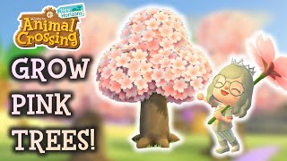 🌸 Animal Crossing New Horizons Pink Trees 🌸 [upl. by Ahsinyt]