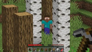 I found Herobrine in Minecraft Survival [upl. by Forland613]