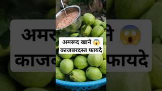 अमरूद खाने के फायदेguava banefitsamrud khane ke fayde health tips shorts4millionviews [upl. by Lyndell]