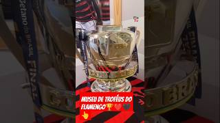 MUSEU DE TROFÉUS FO FLAMENGO  HISTORICO👈🏆🖤😱flamengonaoflopaviralvideoshotsfyfypシ゚viralFLATV [upl. by Gnues445]