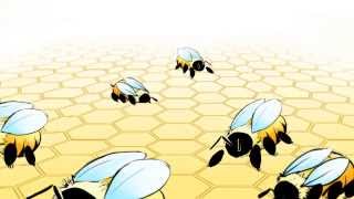 Reproduction and Brood Development  How are different kinds of bees created [upl. by Eirised]