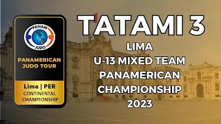 Campeonato Panamericano Sub 13 2023 Tatami 3 Equipos Mixto [upl. by Areehs]