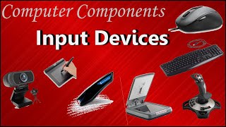 Input Devices of Computer  Examples and purpose [upl. by Novar]