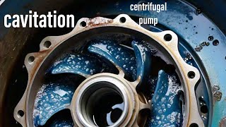 Cavitation in pump  cavitation in centrifugal pump animation  pump cavitation [upl. by Bertolde]