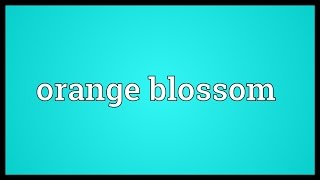 Orange blossom Meaning [upl. by Nnahtur]