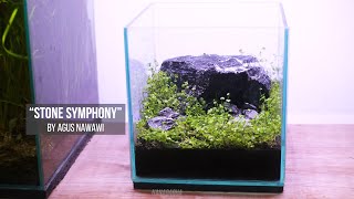 SIMPLE AQUASCAPE 3  STONE SYMPHONY MINI SIMPLE AQUASCAPE [upl. by Llenrev]