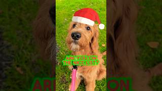 🎅NICE LIST OR NAUGHTY LIST🎅 shorts puppy dog [upl. by Michon]