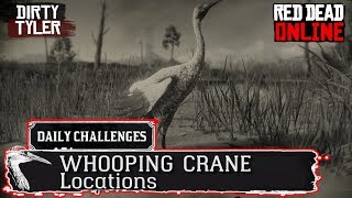 Whooping Crane RDR2 Locations Red Dead Online Daily Challenges [upl. by Zillah]