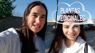 🌿🪴PLANTAS MEDICINALES del Vivero JPamies en Balaguer  Lérida🌱🌵15 [upl. by Vin]