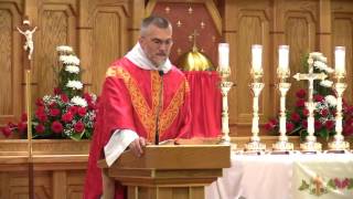 Jun 01  Homily St Justin Martyr Reason and Faith [upl. by Llorrac]