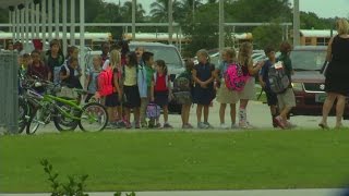 Treeline Elementary walk path concerns [upl. by Alorac226]