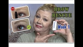 ✅BROW RESCUE✔Wk 1✔How To Grow Eyebrows Fast wLatisse CareprostLatanoprost✔Over 40✔ Lori Brainard [upl. by Frick]