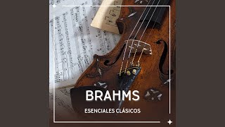 Brahms Symphony No 1 in C Minor Op 68 III Un poco allegretto e grazioso [upl. by Anitsirhk242]