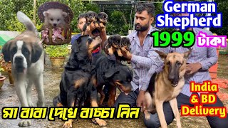 মাত্র 1999 টাকায় German Shepherd Dog Market in Kolkata Price Kolkata Dog Market [upl. by Milli]