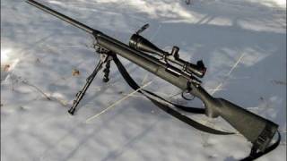 Echo1 M28 Sniper Rifle Review [upl. by Nyleda379]