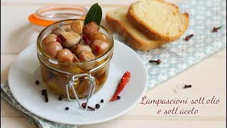 Lampascioni sott’olio  ricetta con i lampascioni pugliesi [upl. by Rehttam]