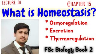 Homeostasis class 12 biology chap15  by irtisams biology [upl. by Antin]