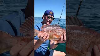 Easy FISH BURGER RECIPE CATCH COOK  DEEP SEA FISHING [upl. by Cavuoto]