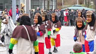 Fasnet Pfullingen 2018 Narrenumzug [upl. by Ardni]