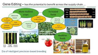 Briefing session Applications of gene editing in crop breeding [upl. by Madra]