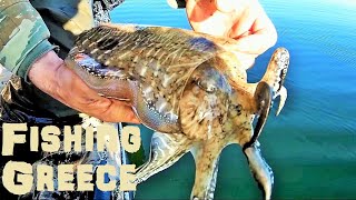 Cuttlefish Fishing in The Gulf of Kalloni  Lesvos island  Greece  Seafood Treasures of Lesvos [upl. by Kaiulani500]