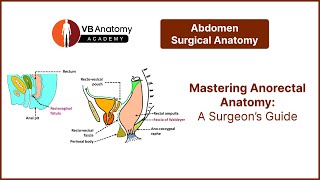 Mastering Anorectal Anatomy A Surgeon’s Guide [upl. by Rriocard934]