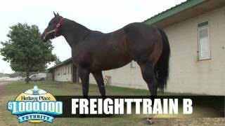 Freighttrain B  QuickView [upl. by Risteau107]