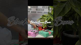 Unboxing Bakery Items  Black amp Brown Bakers  Famous Bakery  Chicken Cake Patties Rusks amp Cookie [upl. by Klecka315]