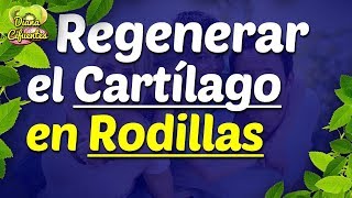 Como Regenerar El Cartilago De Las Rodillas Con Grenetina Hidrolizada Regeneracion Del Cartilago [upl. by Neilson]