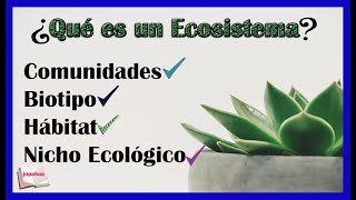 👉Los Ecosistemas ¿Qué son comunidades hábitat biotipo nicho ecológico Jopabaa [upl. by Mellman]