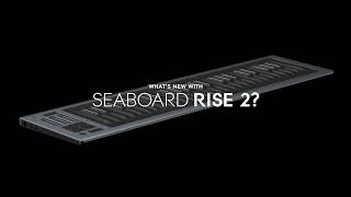 Whats new with Seaboard RISE 2 [upl. by Ahsrop]