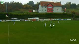 SCSR Tore SV Lengenfeld vs SCSR U23 23 [upl. by Aneekas]