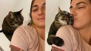 All You Need Is A Cats Love  Cute Ways Cats Show Their Love For Their Owner [upl. by Halihs]