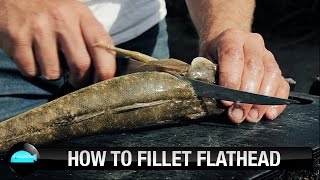 How To Fillet Flathead  We Flick Fishing Videos [upl. by Nuaj]