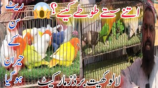 lalukhet birds market 2023 latest update  birds market karachi  lalukhet birds market today [upl. by Ikkin765]