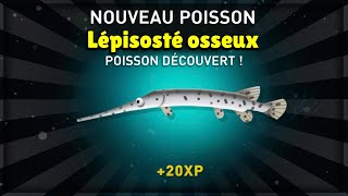 OU TROUVER LE LEPISOSTE OSSEUX SUR CREATURES OF THE DEEP [upl. by Anaiuq397]