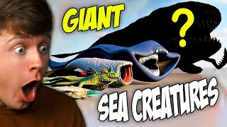 GIANT Sea Monster SIZE COMPARISON Reaction [upl. by Haiel]