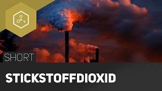 Stickstoffdioxid Schadstoff aus dem Auto  TheSimpleShort [upl. by Timrek]