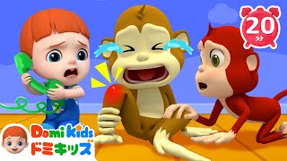 ごひきのこざる🐒 動物の歌  子供の歌メドレー  赤ちゃんが喜ぶ歌  童謡  アニメ  知育動画  ドミキッズ  Domi Kids [upl. by Jacquenette]