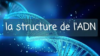 génétique 1ere année med dentaire  structure de lADN [upl. by Sibel475]