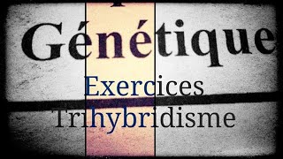 جديد Génétique I  Exercice numéro 1 en arabe Trihybridisme [upl. by Poyssick]