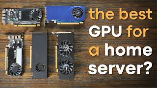 Whats the BEST LowProfile GPU for your Home Lab [upl. by Lukasz694]