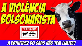 CUIDADO COM O CÃO RAIVOSO 🐶🐮 Gado Estúpido Ataca Objetos Inanimados 😪 [upl. by Lark]